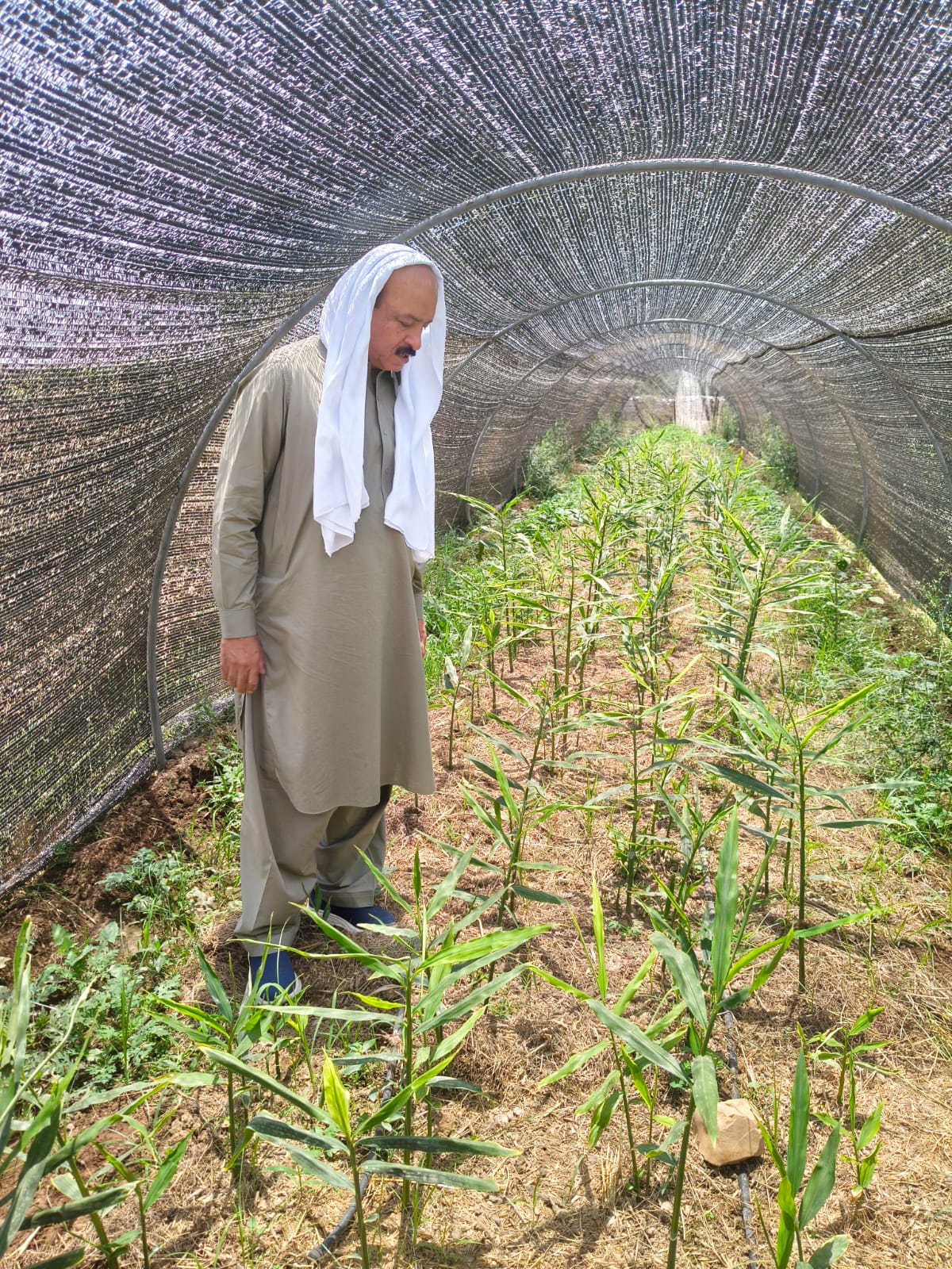 KP-RIISP project photo 40